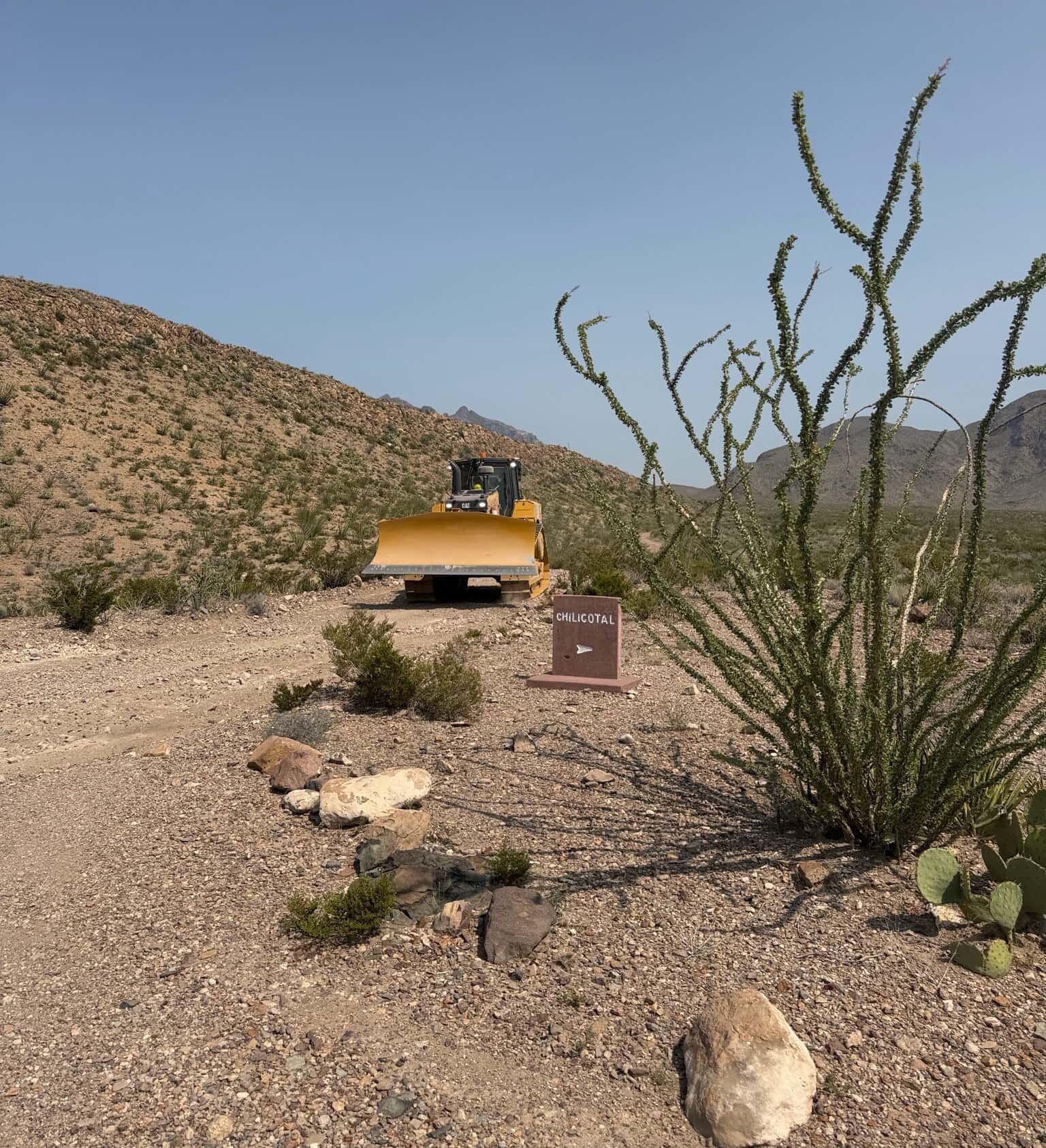 A yellow bulldozer parked on a gravel turnout in Big Bend National Park, directly beside a small brown National Park Service sign reading CHILICOTAL with a directional arrow. An ocotillo stands in the right foreground; bare desert hills recede behind.